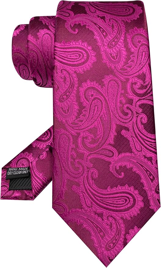 JEMYGINS Mens Paisley Tie and Pocket Square,Lapel Pin,Cufflinks,Tie Clip Sets with Gift Box 5PCS
