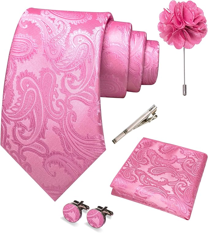 JEMYGINS Mens Paisley Tie and Pocket Square,Lapel Pin,Cufflinks,Tie Clip Sets with Gift Box 5PCS